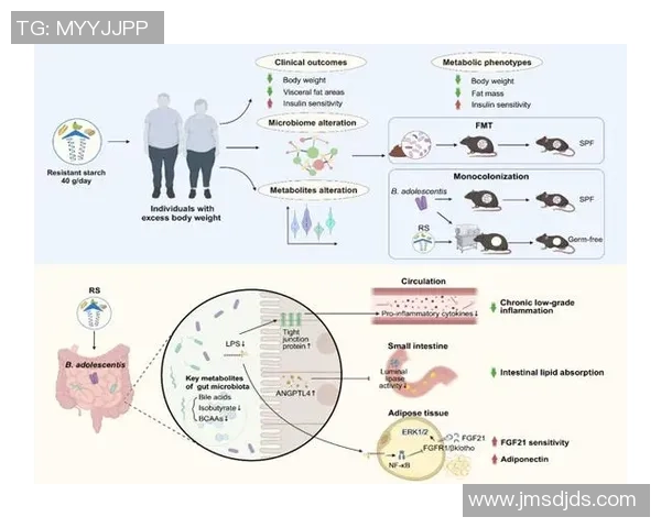 上海羽毛球队团队协作的独特优势与其他队伍的比较分析